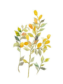 Christina Wolff, Gelbe Beeren (Germany, Europe)