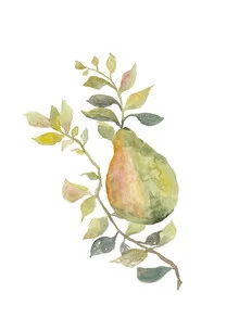 Wall art by Christina Wolff: Illustration of a pear in fresh colors.