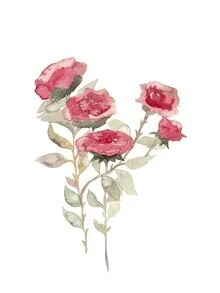 Illustration von roten Rosen, die sanfte Frühlingsstimmung vermittelt.