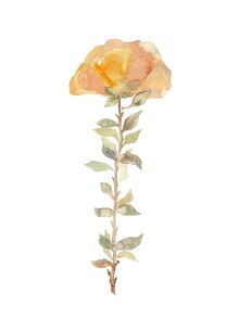 Christina Wolff, Yellow peony (Germany, Europe)