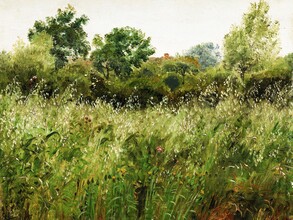 Art Classics, Skovgaard: Field of Oats