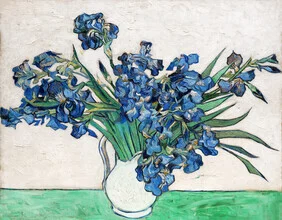 Wall art featuring irises, vibrant colors and a gentle composition