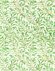 Illustration by William Morris: willow branches in soft colors and harmonious patterns