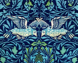 Illustration of birds in a gentle vintage style, colorful and detailed.