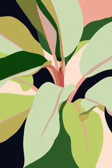 Illustration by Uma Gokhale: colorful garden design featuring plant motifs