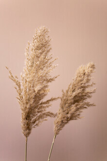 Mareike Böhmer, Grass 22