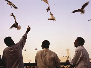 Photo art by Florian Büttner: seagulls flying over Dubai at sunset