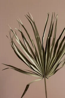 Photo art by Mareike Böhmer: green leaves in sunlight at the beach