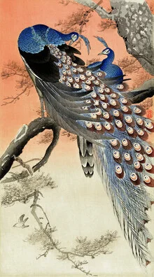 Two peacocks in a tree by Ohara Koson - Fineart photography by Japanese Vintage Art