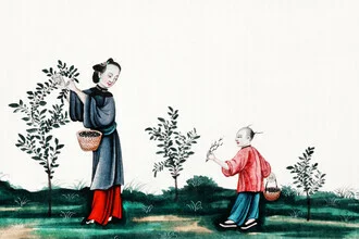 Illustration of a mother and son plucking tea sprouts.