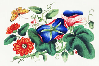 Vintage Nature Graphics, Chinesische Malerei von Blumen und einem gelben Schmetterling (Deutschland, Europa)