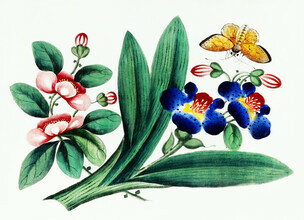 Vintage Nature Graphics, Chinesische Malerei mit Blumen und einem Schmetterling (Deutschland, Europa)