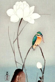 Eisvogel mit Lotusblume - fotokunst von Japanese Vintage Art