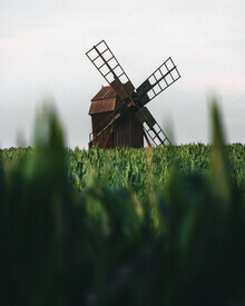 Daniel Öberg, Windmill - Schweden, Europa)