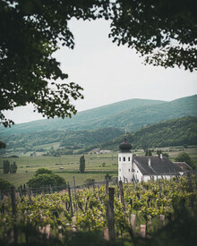 Daniel Öberg, Church (Austria, Europe)