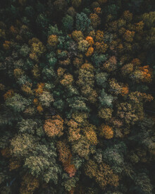 Daniel Öberg, Autumn from above - Sweden, Europe)