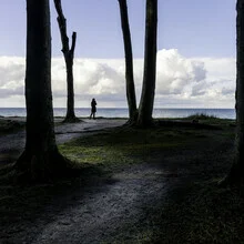 Fotografie von Franz Sussbauer: gespenstischer Wald mit Bäumen und Wolken