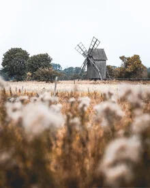 Photo art by Daniel Öberg: windmill in a serene Swedish landscape