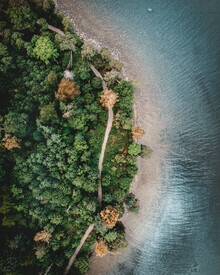 Daniel Öberg, A path in the woods (Sweden, Europe)