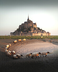 Daniel Öberg, Mont Saint Michel - Frankreich, Europa)