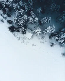 Cozy cabin in a snowy forest in Sweden, embodying the tranquility of nature.
