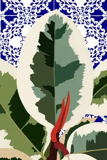 Illustration by Uma Gokhale: colorful plant pattern in a tranquil garden
