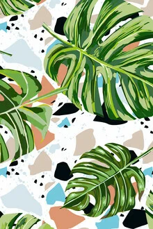 Wall art by Uma Gokhale: colorful plant illustration in a modern style