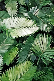 Illustration by Uma Gokhale: palms in a vibrant tropical setting.
