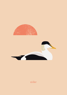 Maja Modén, Eider