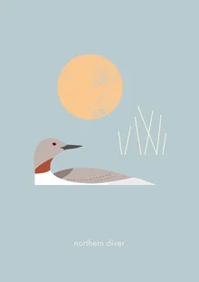 Wall art by Maja Modén: northern diver at sunset over calm water