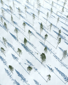 Daniel Öberg, A cutting area from above (Sweden, Europe)