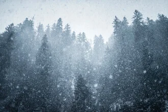 Fotokunst von Alexander Fuchs: verschneiter Wald im Allgäu während des ersten Schneefalls