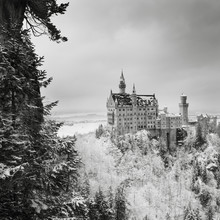 Ronny Behnert, Neuschwanstein