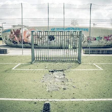 Photo art by Franz Sussbauer: artificial grass with a skater bowl and fence in a calm setting