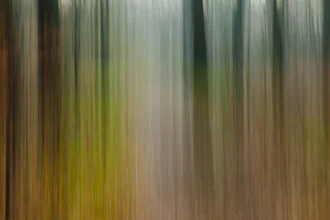 Blurred forest in soft colors, creating a calm atmosphere