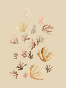 Christina Wolff, Nude Corals (Germany, Europe)