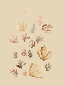 Illustration by Christina Wolff: soft pastel corals underwater