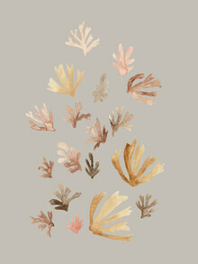 Christina Wolff, Pastel Corals (Germany, Europe)