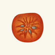 Vintage Nature Graphics, Kaki (Vereinigte Staaten, Nordamerika)