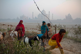 Miro May, Taj Mahal
