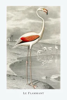 Wall art of a flamingo in retro style, soft colors and natural details.