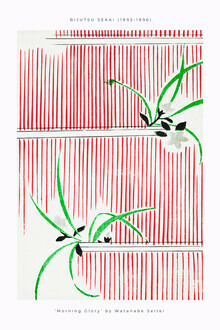 Japanese Vintage Art, Morning Glory by Watanabe Seitei