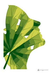 Illustration by Shankar Ramakrishnan: stylized silhouette of a woman in nature