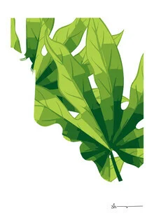 Illustration by Shankar Ramakrishnan: stylized silhouette of a woman with leaves