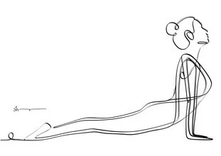 Wall art: stylish illustration of the Cobra pose in soft colors