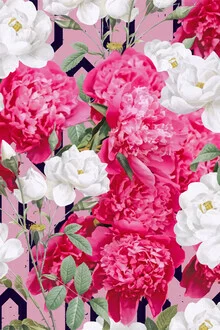Illustration by Uma Gokhale: colorful depiction of flowers and geometric shapes