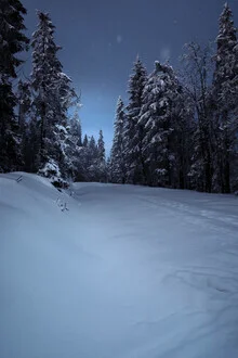 Beautiful winter landscape with soft snow hills at dusk