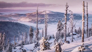 Photo art by Florian Eichinger: winter fairytale landscape with soft colors
