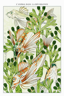 Vintage Nature Graphics, L'animal Dans La Decoración (Frankreich, Europa)