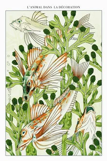 Wall art featuring fish and algae in a nostalgic, retro style